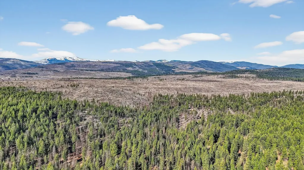 145 Elk Run Drive Rexford MT 59930