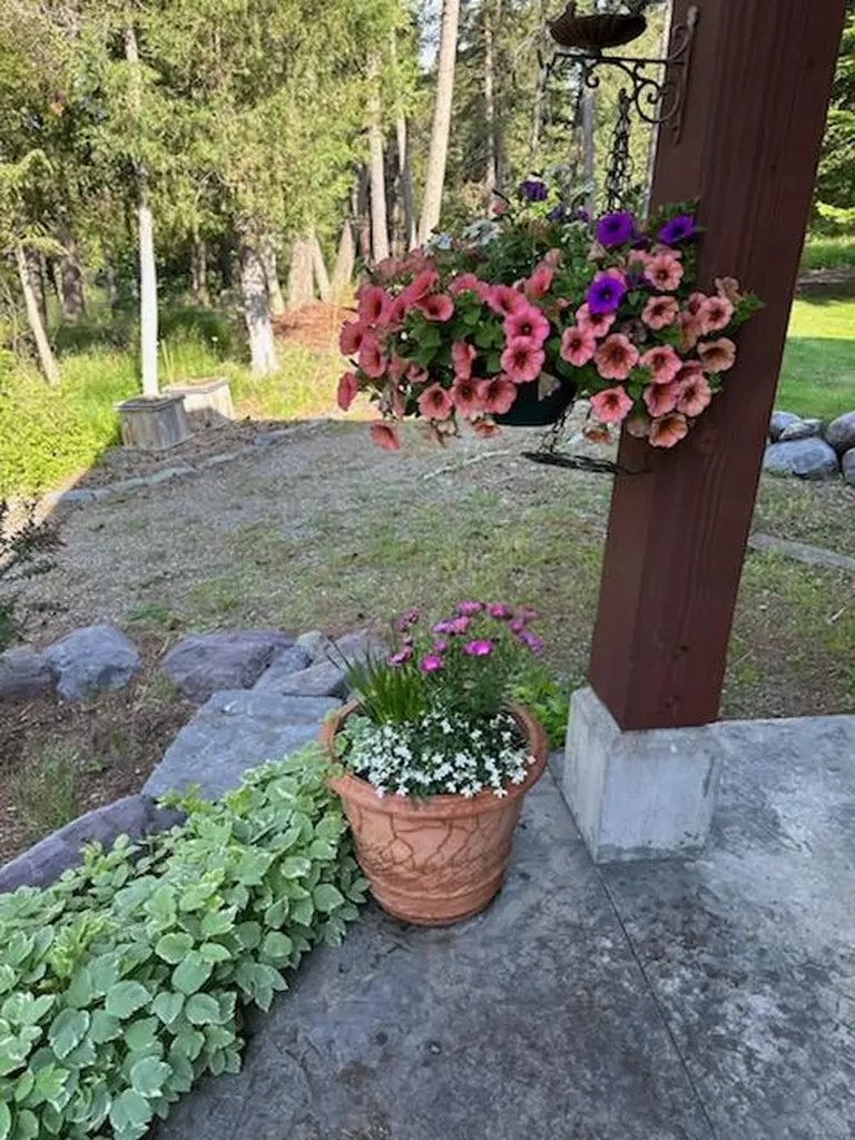 234 Williams Lane Bigfork MT 59911