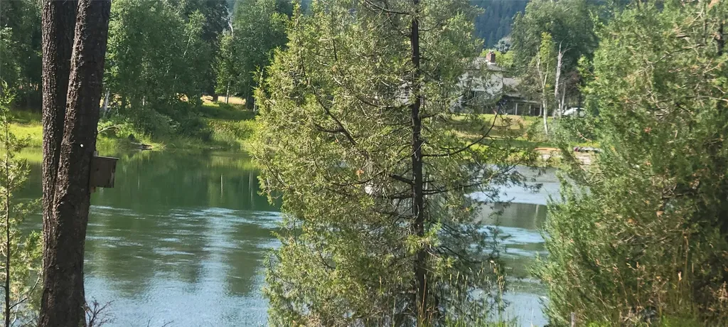 234 Williams Lane Bigfork MT 59911
