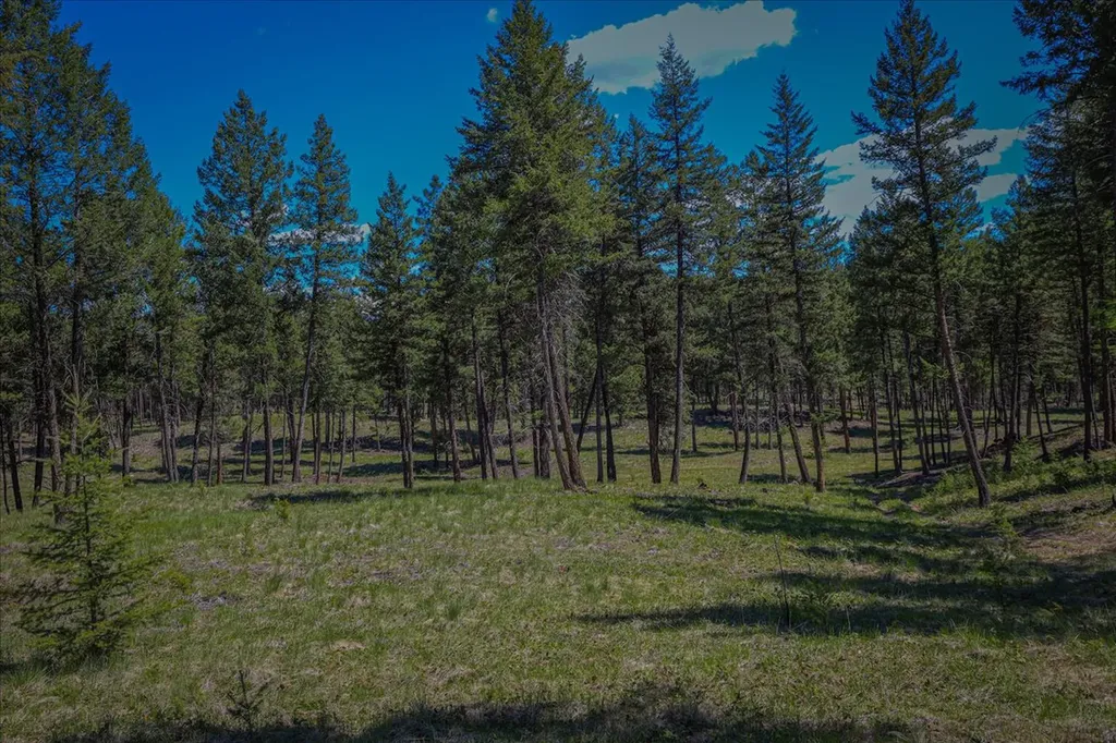 130 Crosscut Road Rexford MT 59930