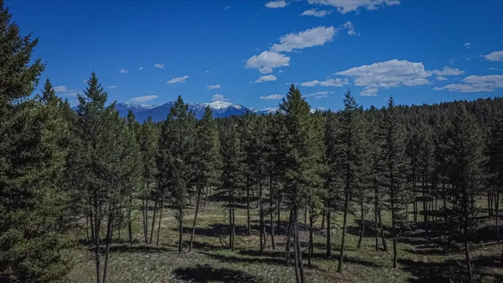 130 Crosscut Road Rexford MT 59930