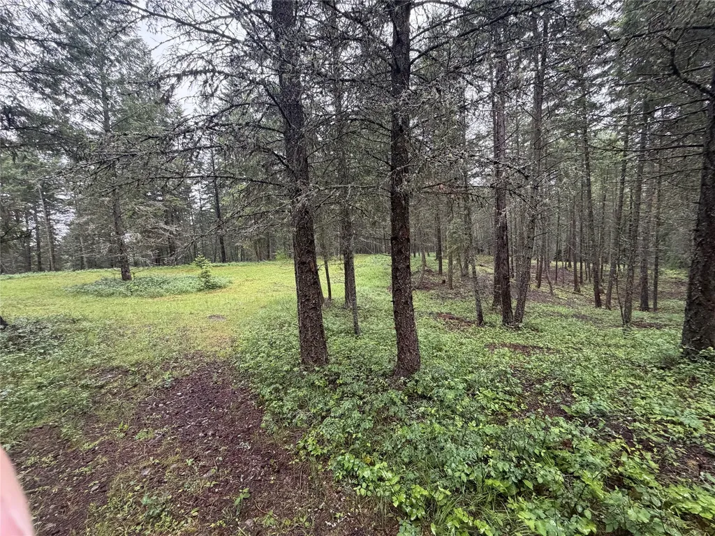 410 Belterra Lane Bigfork MT 59911