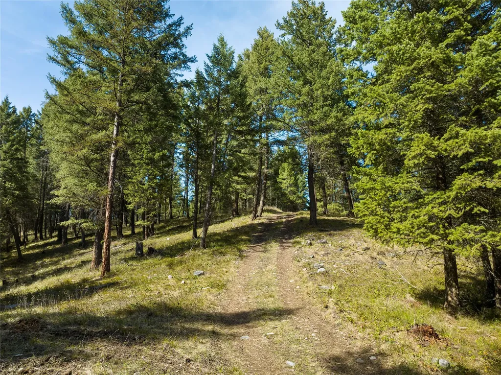 410 Belterra Lane Bigfork MT 59911