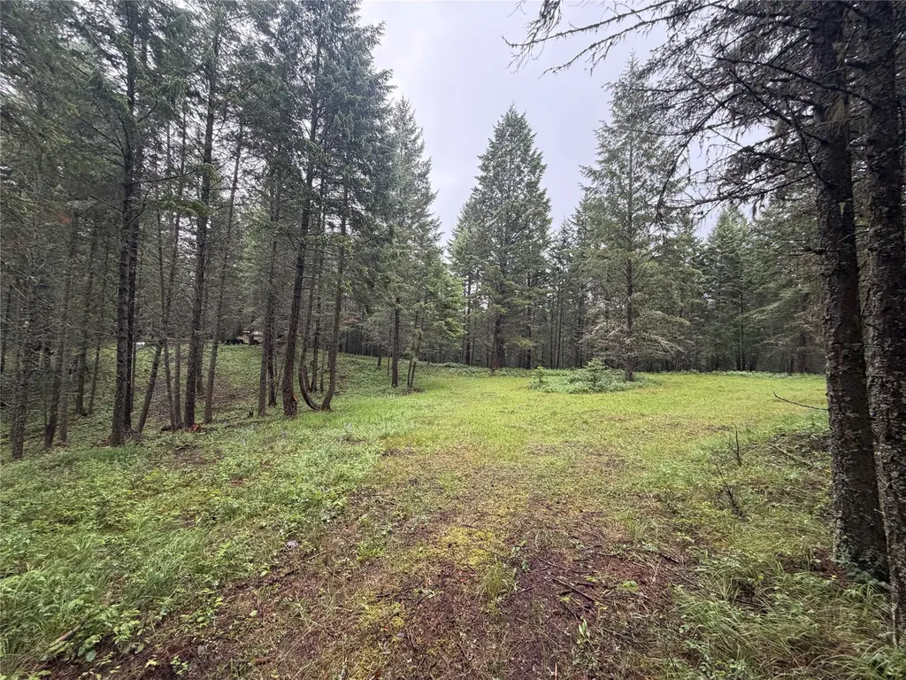 410 Belterra Lane Bigfork MT 59911