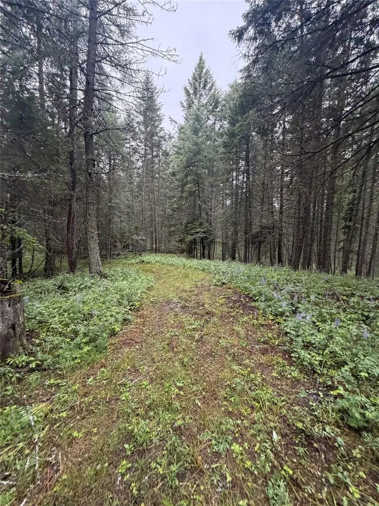 410 Belterra Lane Bigfork MT 59911