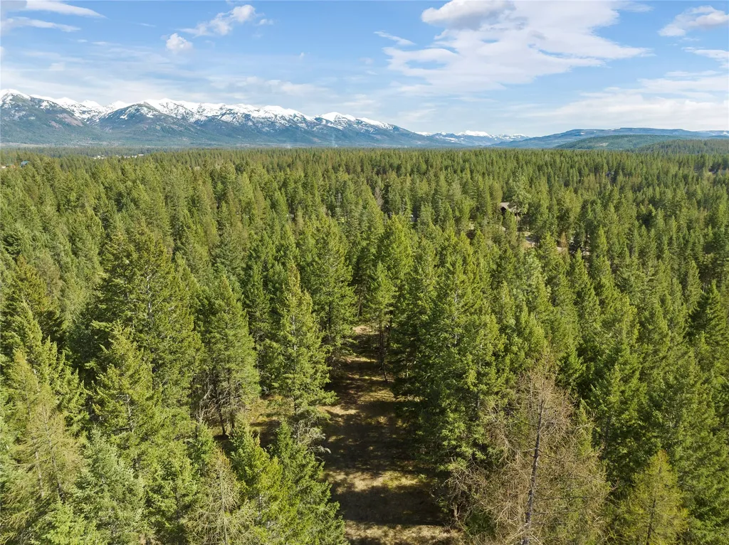 410 Belterra Lane Bigfork MT 59911