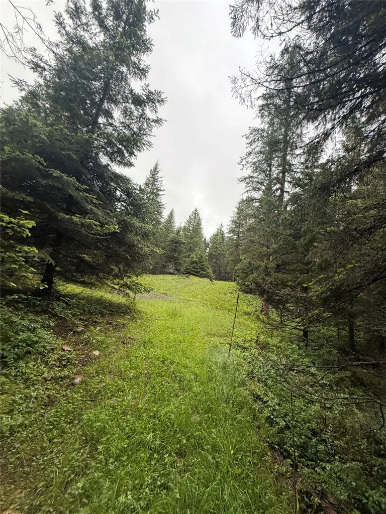410 Belterra Lane Bigfork MT 59911