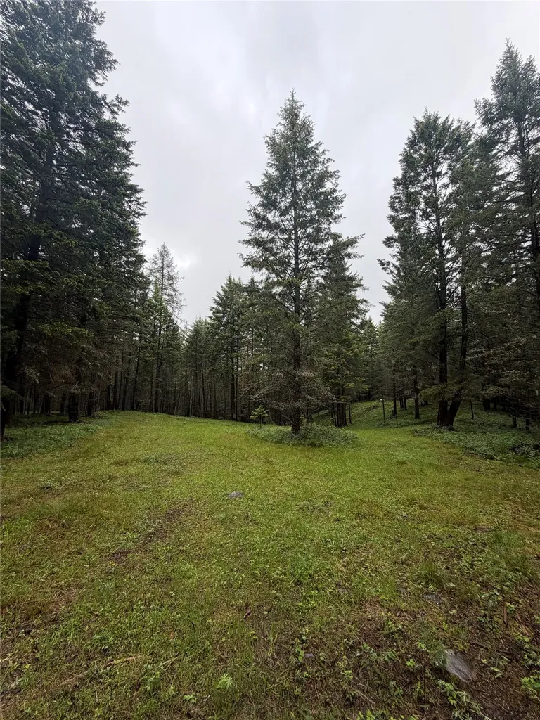 410 Belterra Lane Bigfork MT 59911