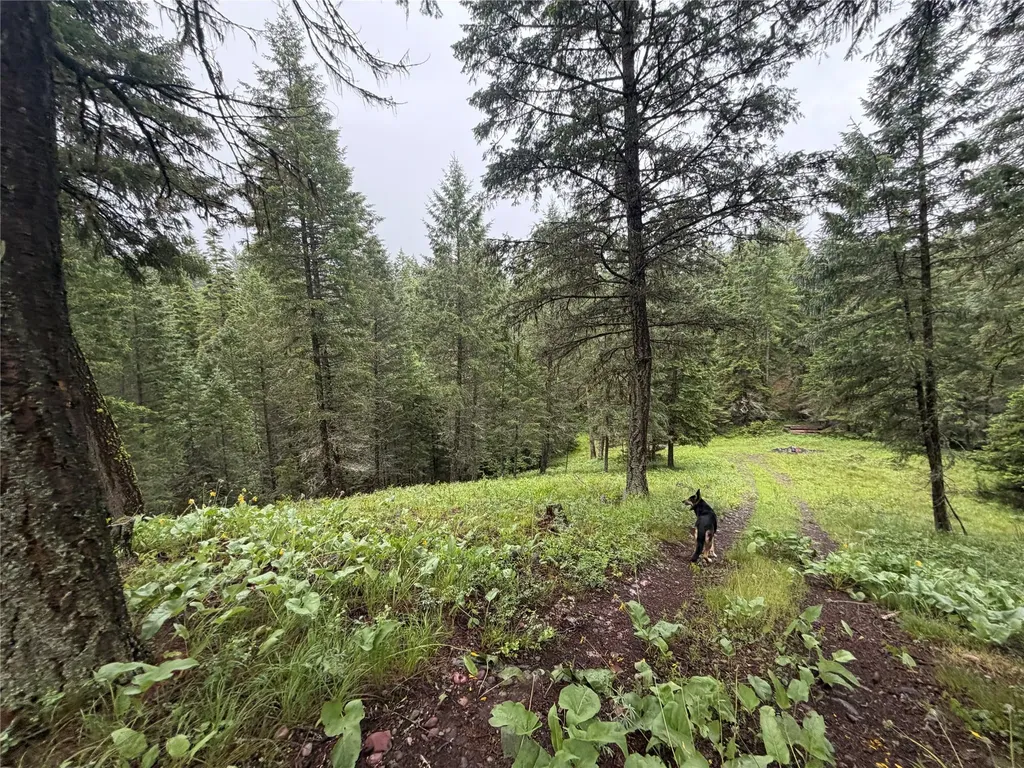 410 Belterra Lane Bigfork MT 59911