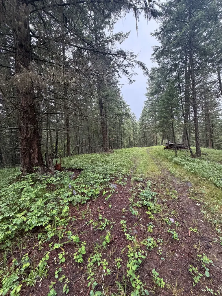 410 Belterra Lane Bigfork MT 59911