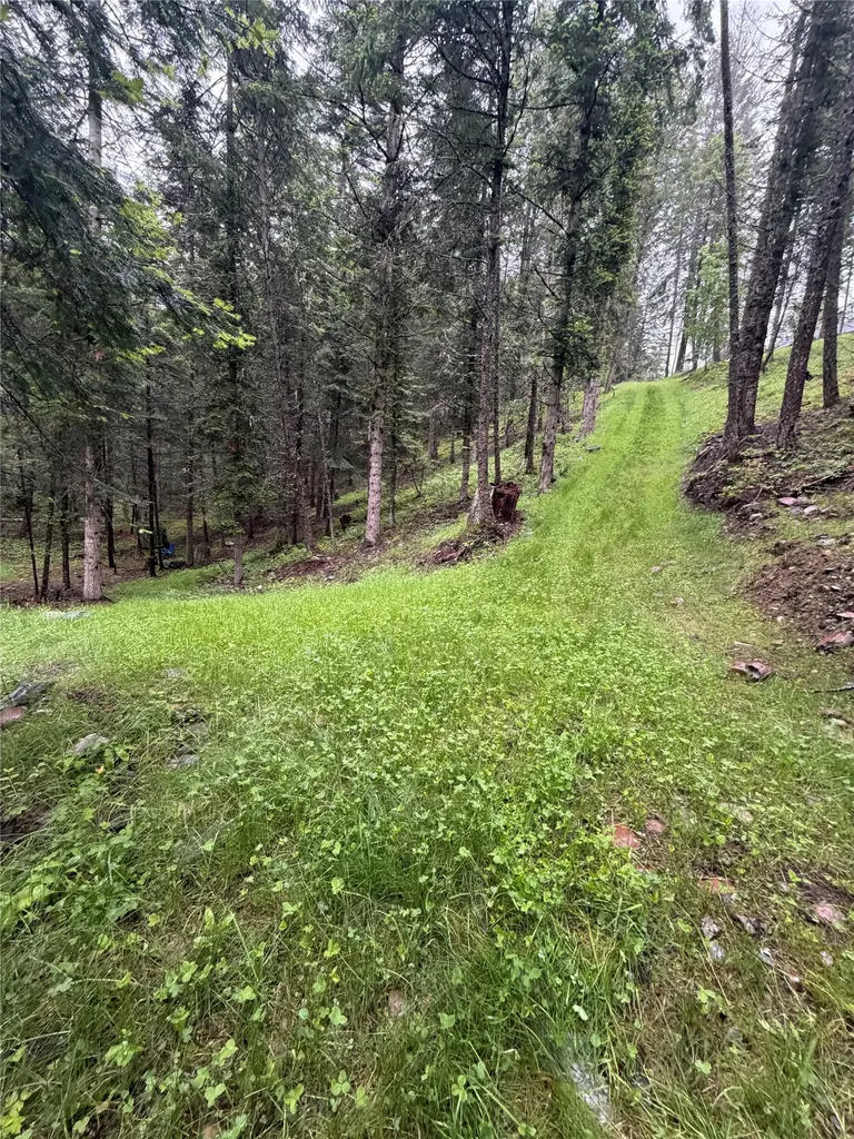 410 Belterra Lane Bigfork MT 59911