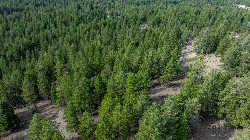 155 Lonesome Lane Rexford MT 59930