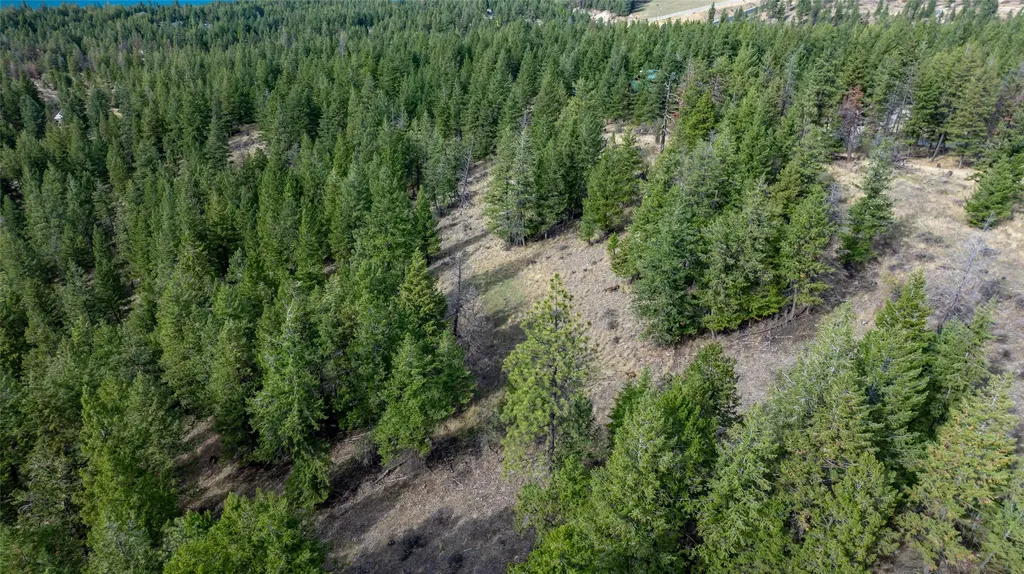 155 Lonesome Lane Rexford MT 59930