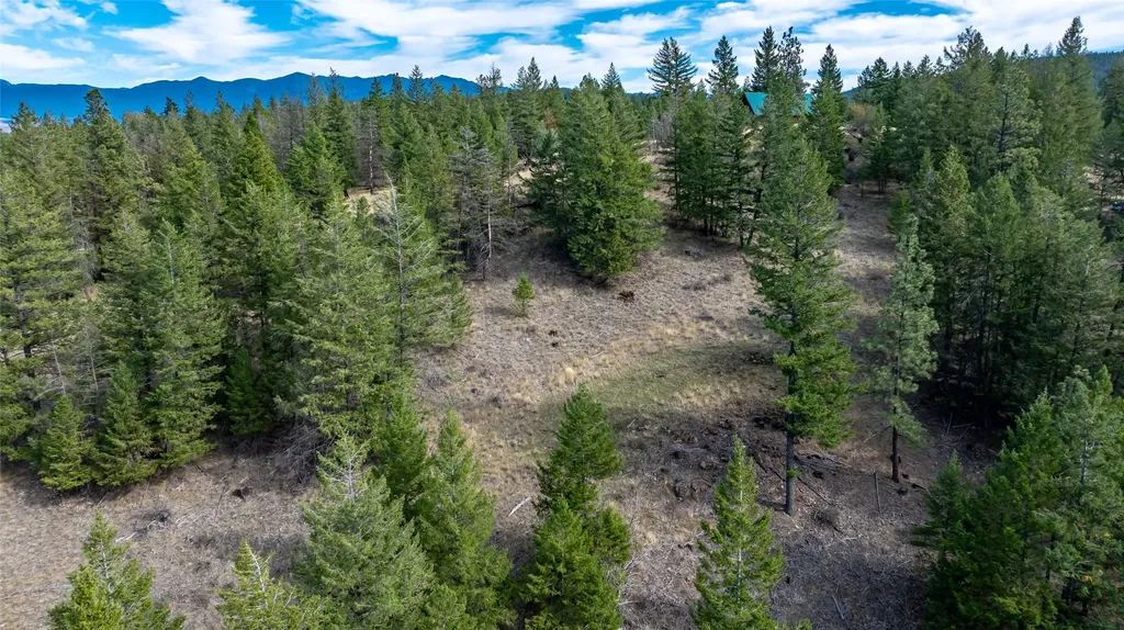 155 Lonesome Lane Rexford MT 59930