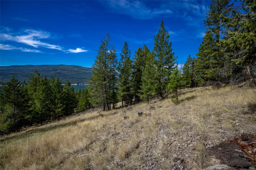 155 Lonesome Lane Rexford MT 59930