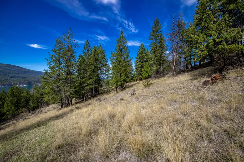 155 Lonesome Lane Rexford MT 59930