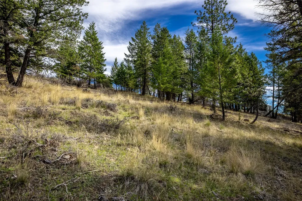 155 Lonesome Lane Rexford MT 59930