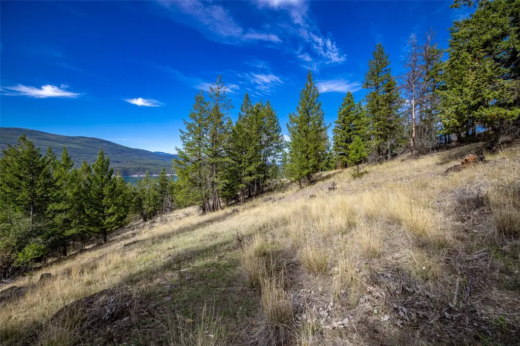 155 Lonesome Lane Rexford MT 59930