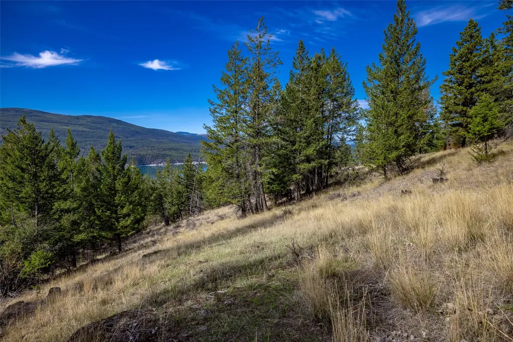 155 Lonesome Lane Rexford MT 59930