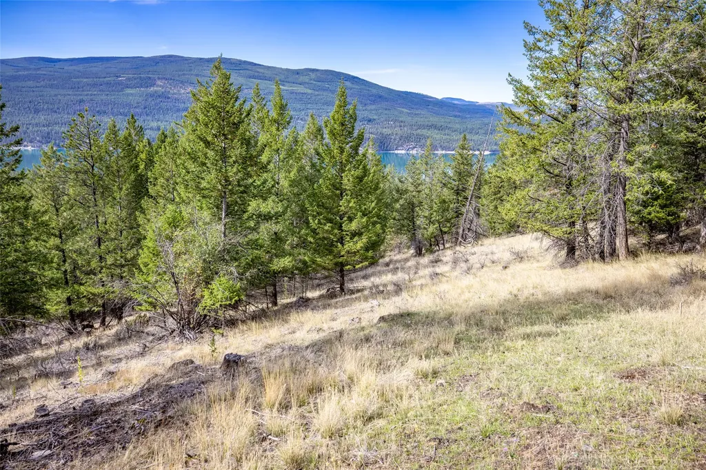 155 Lonesome Lane Rexford MT 59930