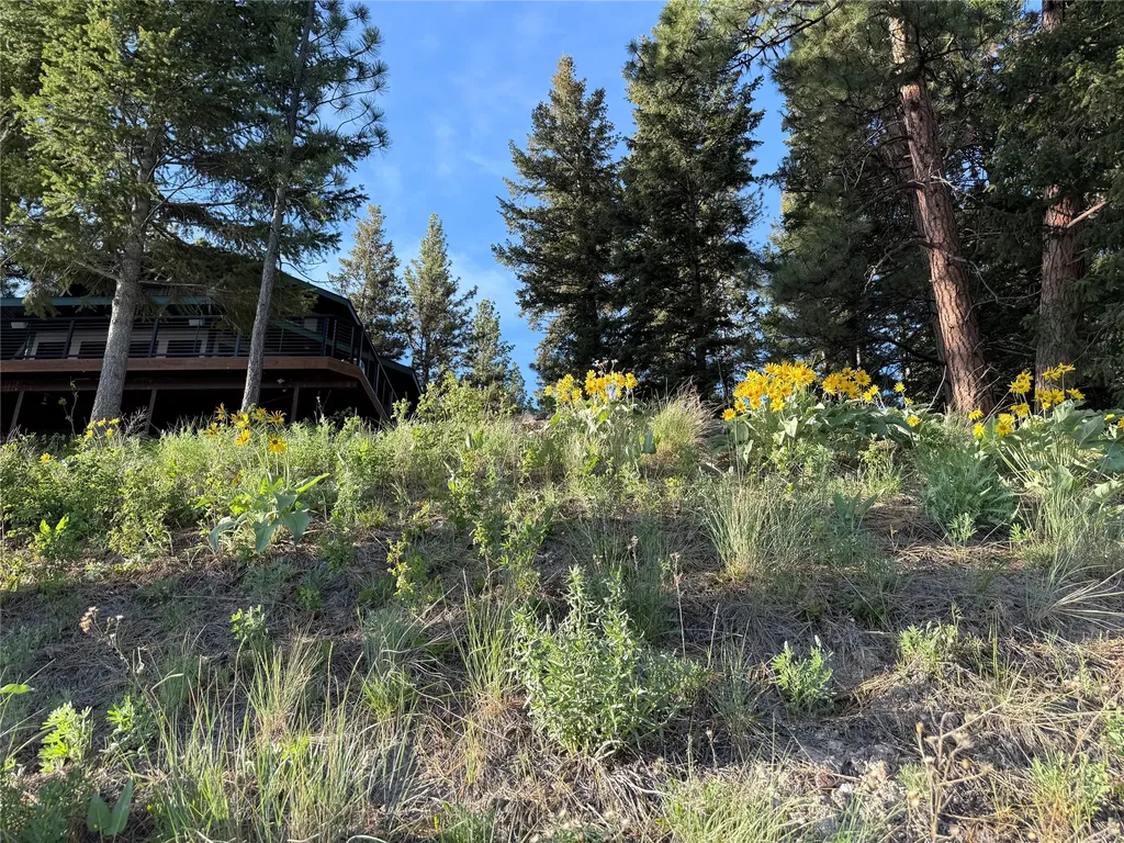 5343 N Placid Lake Road Seeley Lake MT 59868