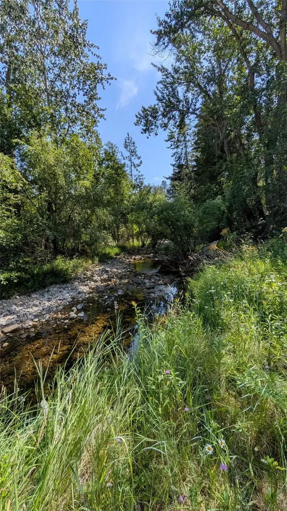 460 Moose Hollow Road Victor MT 59875