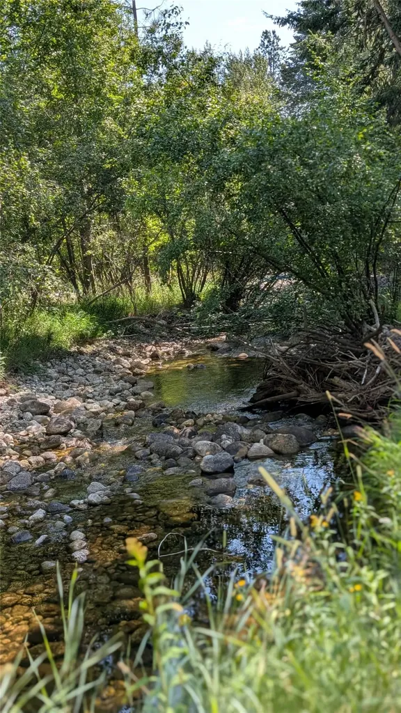 460 Moose Hollow Road Victor MT 59875