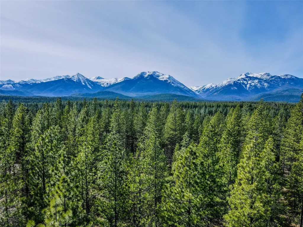 116 Cherry Creek Bluff Road Libby MT 59923
