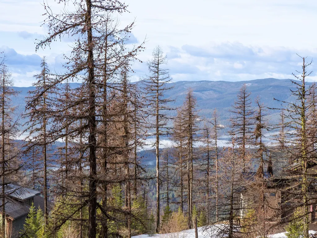 317 Elk Highlands Drive Whitefish MT 59937