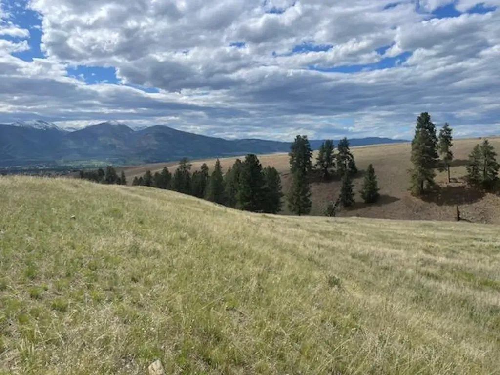 Tract 2 Jenne Lane Florence MT 59833