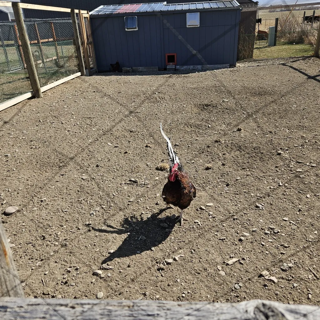 25 Dr Russell Road Fort Shaw MT 59443