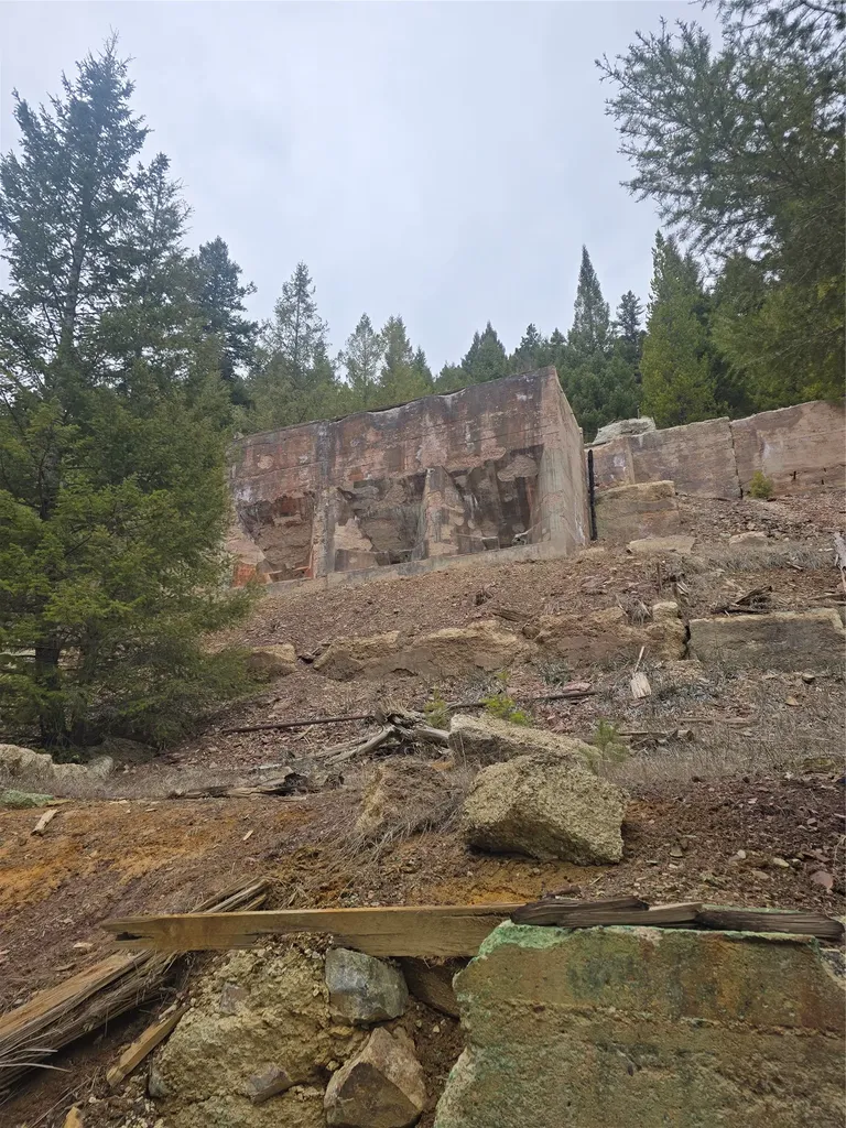 614 Wyman Gulch Road Philipsburg MT 59858