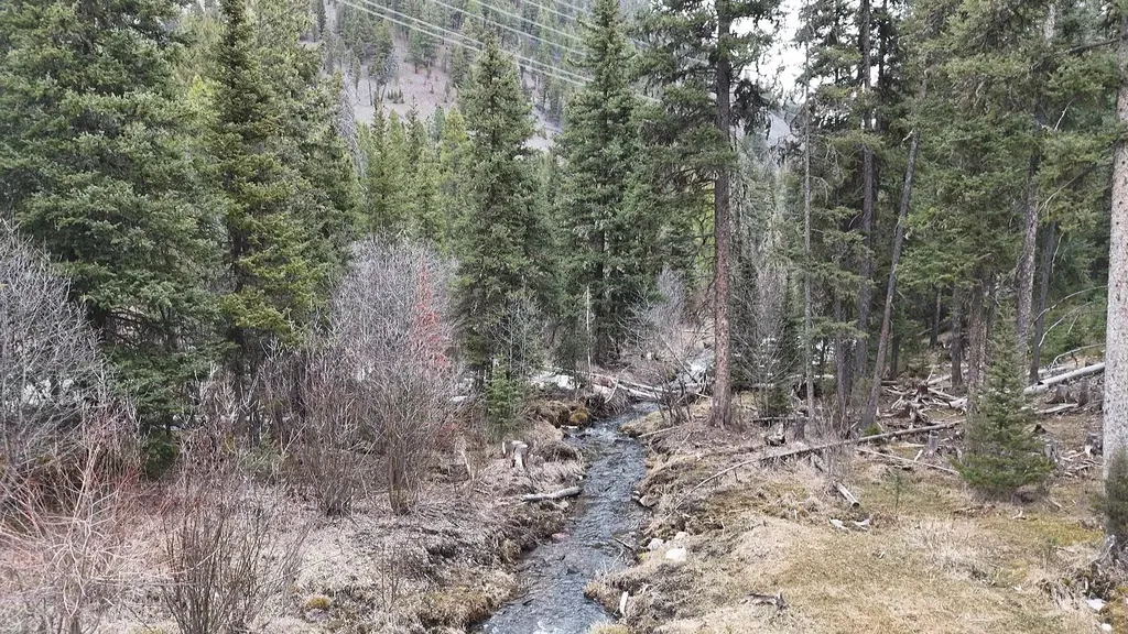 614 Wyman Gulch Road Philipsburg MT 59858