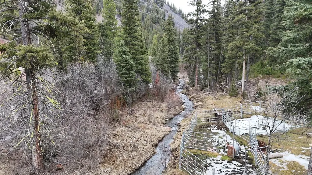 614 Wyman Gulch Road Philipsburg MT 59858
