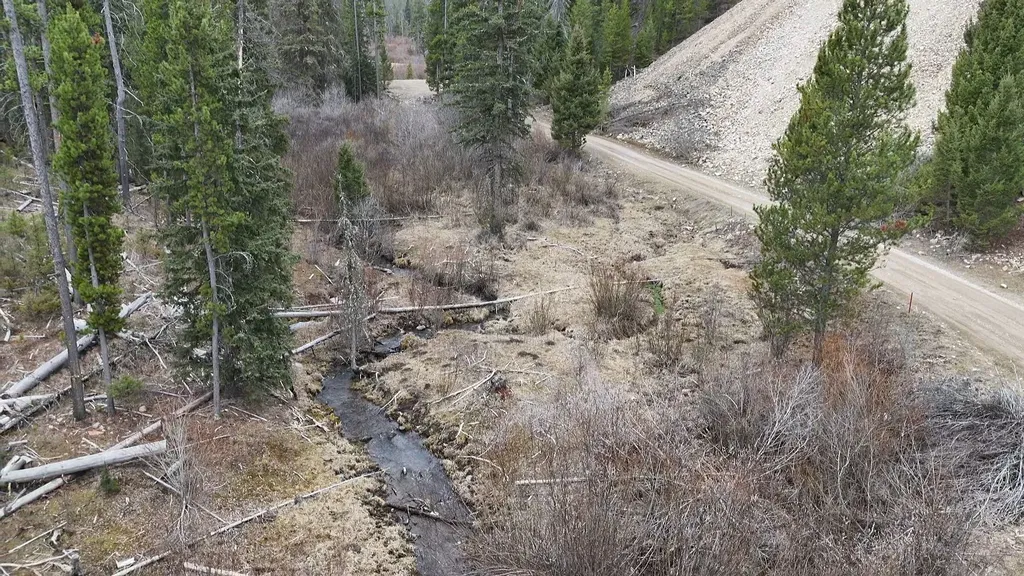 614 Wyman Gulch Road Philipsburg MT 59858