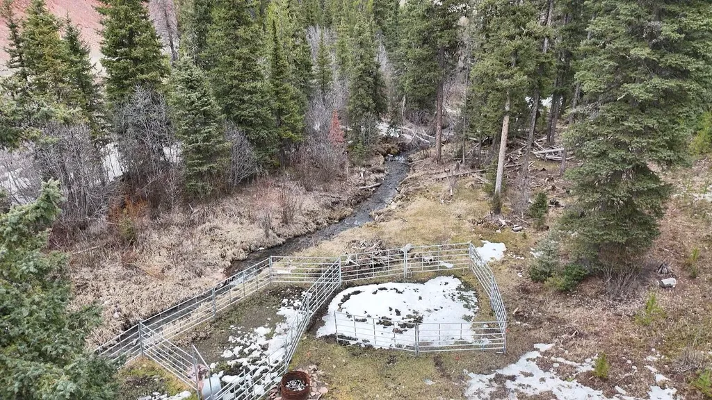614 Wyman Gulch Road Philipsburg MT 59858