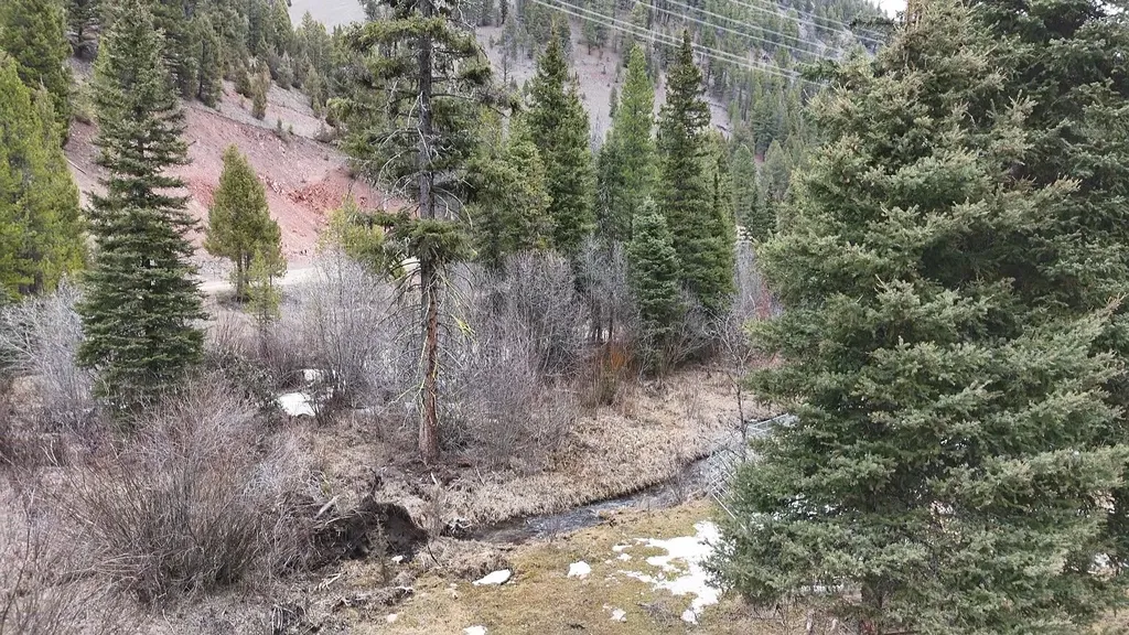 614 Wyman Gulch Road Philipsburg MT 59858