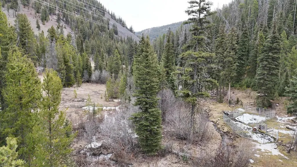 614 Wyman Gulch Road Philipsburg MT 59858