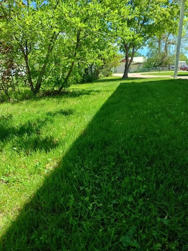 206 4th Avenue SW Choteau MT 59422