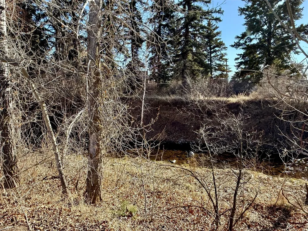 227 Kohrs Street Deer Lodge MT 59722