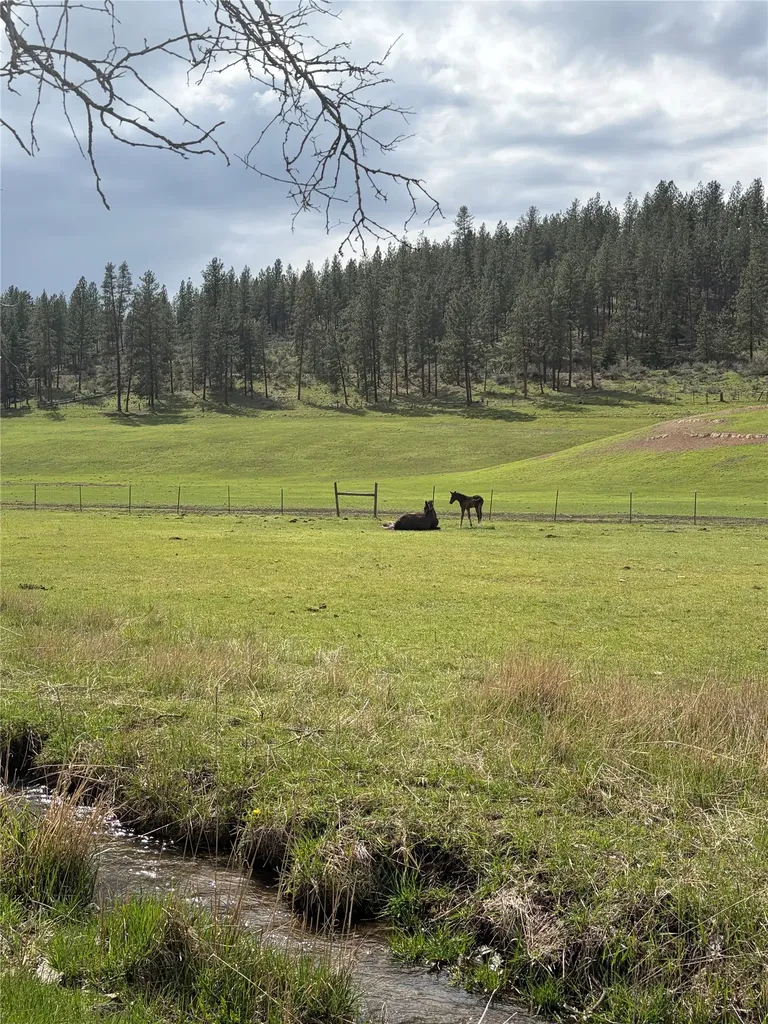 13 High Country Road Plains MT 59859