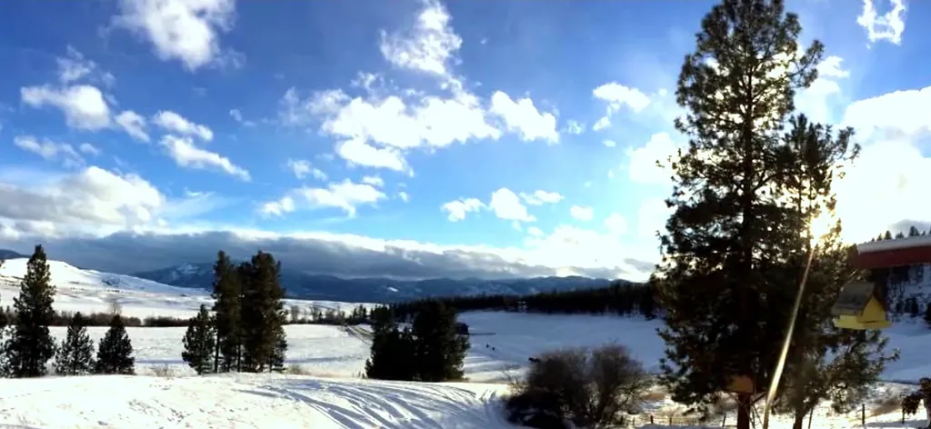 13 High Country Road Plains MT 59859