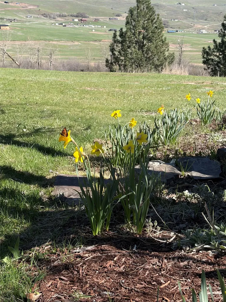 13 High Country Road Plains MT 59859