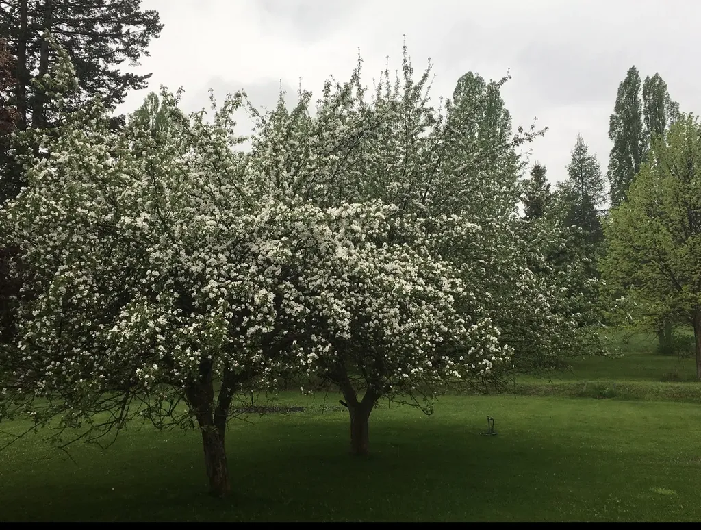 212 Lakeshore Drive Kalispell MT 59901