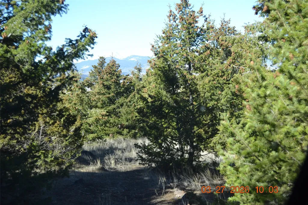 900 Flint Creek Road Ramsay MT 59748