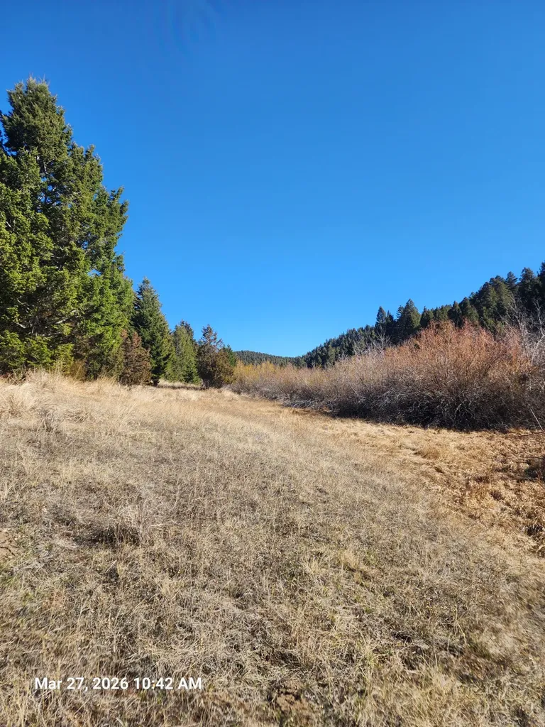 900 Flint Creek Road Ramsay MT 59748