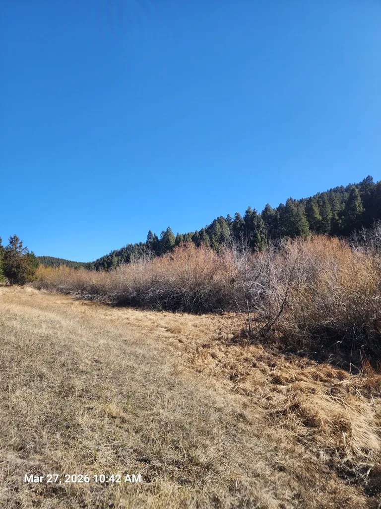 900 Flint Creek Road Ramsay MT 59748