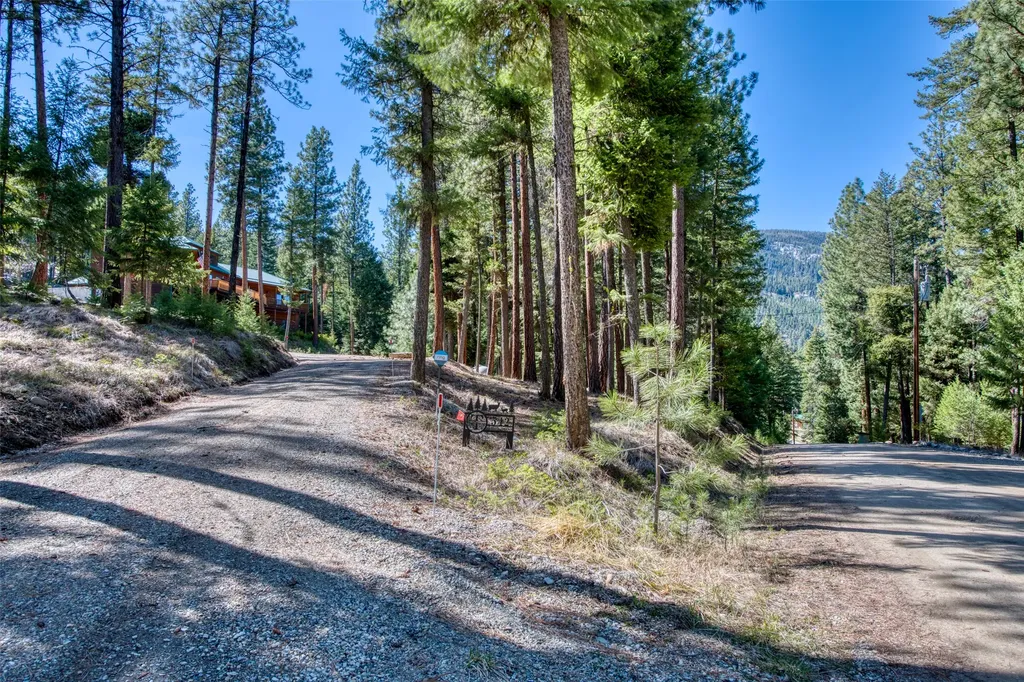 542 Raven Wood Darby MT 59829