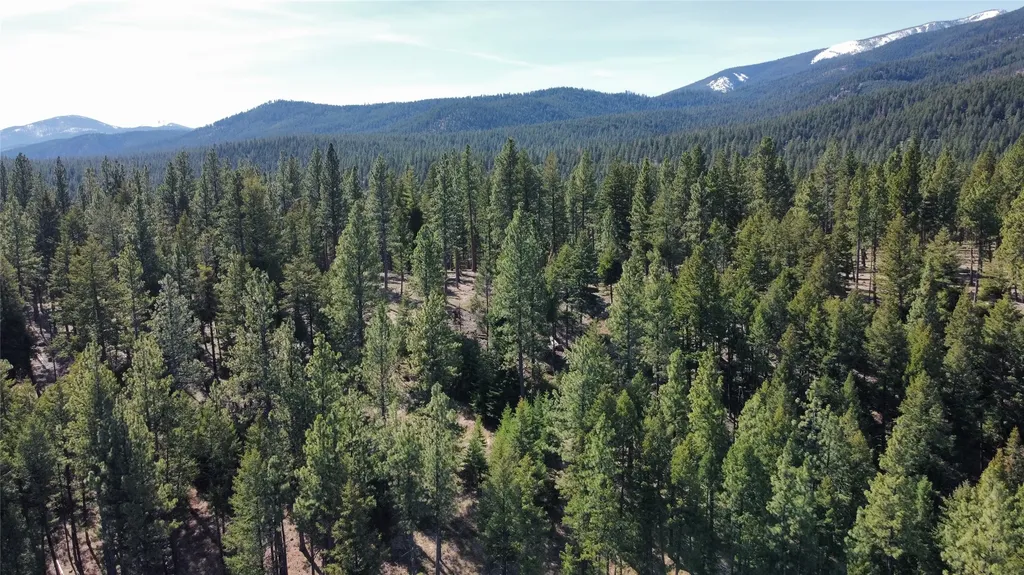 542 Raven Wood Darby MT 59829
