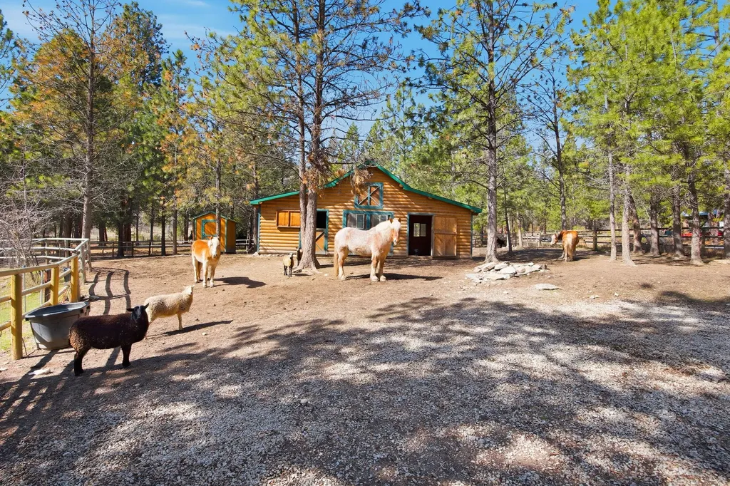 110 Mosey Lane Hamilton MT 59840